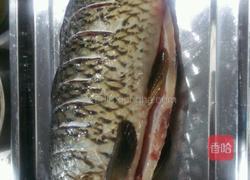 清炖鱼的做法图解1