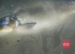 清炖鱼的做法图解3