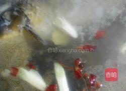 清炖鱼的做法图解5