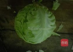辣炒圆白菜的做法图解1
