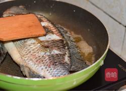 番茄炖鱼的做法图解3