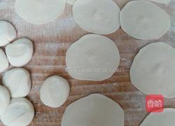 韭菜猪肉虾仁水饺的做法图解10