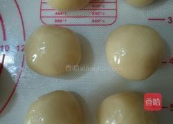 五仁月饼的做法图解6