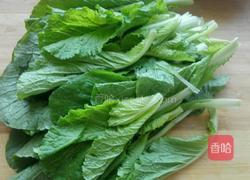 虾米白菜的做法图解1