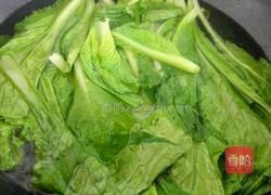 虾米白菜的做法图解3