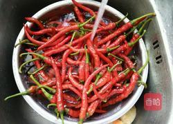 自制湖南剁辣椒酱的做法图解1