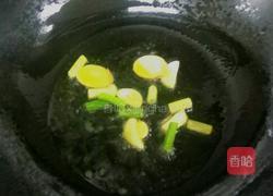 番茄牛肉的做法图解4