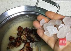 秋梨膏的做法图解4