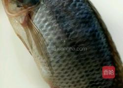 番茄烧鱼的做法图解1