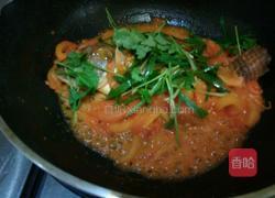 番茄烧鱼的做法图解10