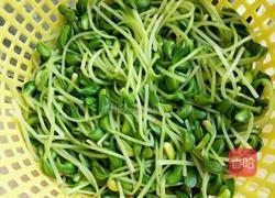 脆拌黑豆苗的做法图解1