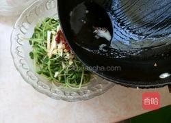 脆拌黑豆苗的做法图解6