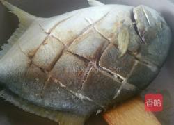 红烧金昌鱼的做法图解2