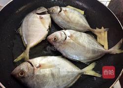 香煎平鱼的做法图解3