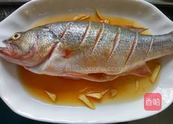 干烧鲈鱼的做法图解1