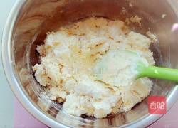 抱坚果的小饼干的做法图解9