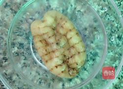 天麻炖乳鸽的做法图解2