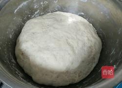 白菜香菇肉包子的做法图解14