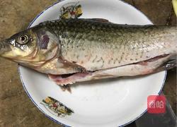 野生鲫鱼汤的做法图解1