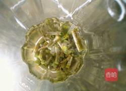 蜂蜜铁皮石斛汁的做法图解3