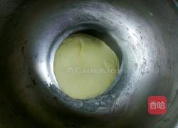 牛奶面条的做法图解4