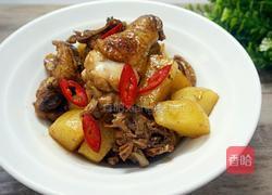 薯仔焖鸡的做法图解10