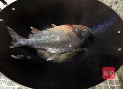泡椒烧鳊鱼的做法图解5