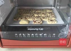 蔓越梅饼干的做法图解7