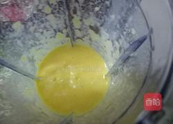 芒果棒冰的做法图解5