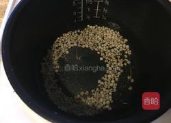 冬瓜薏米粥的做法图解2