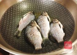 葱烧鲫鱼的做法图解2