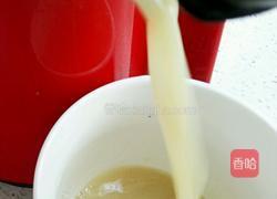 果汁牛奶的做法图解4