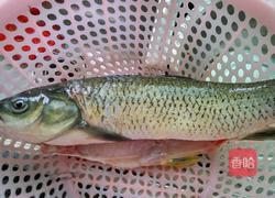 炸鱼段的做法图解1