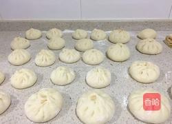 大葱香菇猪肉包的做法图解14