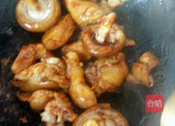 蘑菇炖小鸡的做法图解7