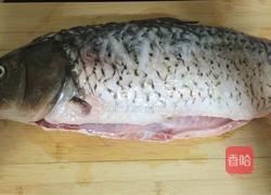 红烧鲤鱼块的做法图解2