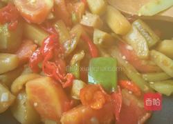 茄子辣椒西红柿的做法图解6