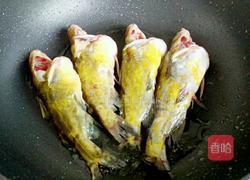黄骨鱼焖豆腐的做法图解4
