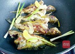 黄骨鱼焖豆腐的做法图解6