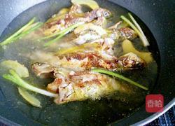 黄骨鱼焖豆腐的做法图解7