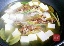 黄骨鱼焖豆腐的做法图解8