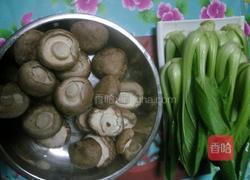 玉树挂金钱的做法图解1