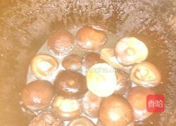 玉树挂金钱的做法图解4