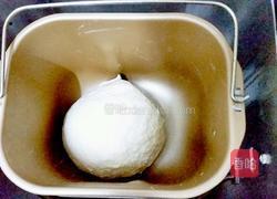 奥尔良披萨的做法图解2