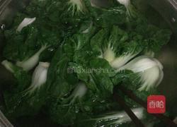 木耳白菜的做法图解6