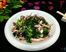 荆芥鱿鱼须[图]