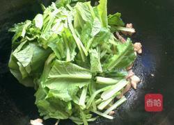 肉炒小白菜的做法图解5