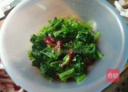 凉拌萝卜叶的做法图解5