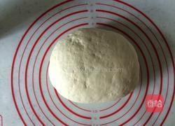 酸菜肉包子的做法图解1