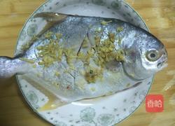 葱油武鲳鱼的做法图解3